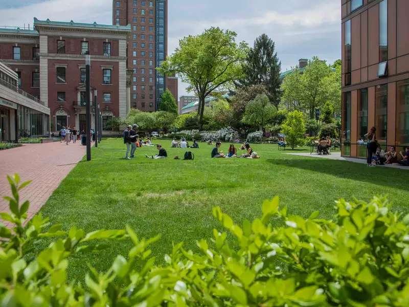 学生-on-Green-Lawn